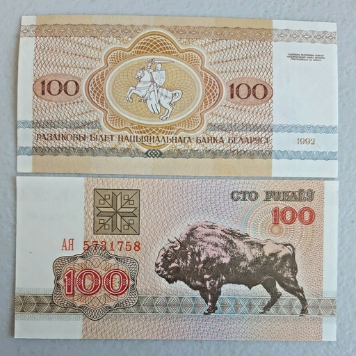 [194726197313] Belarus 100 Rubles 1992 series banknote uncirculated