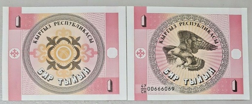 [194872875176] Kyrgyzstan 1 Tyiyn banknote 1993 uncirculated P-1