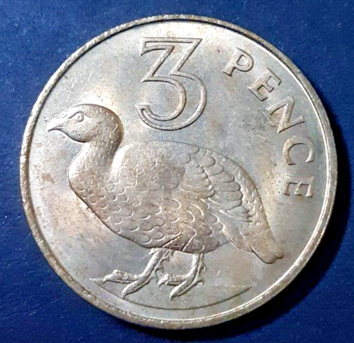 [196547093142] Gambia 3 pence 1966 almost uncirculated coin great condition